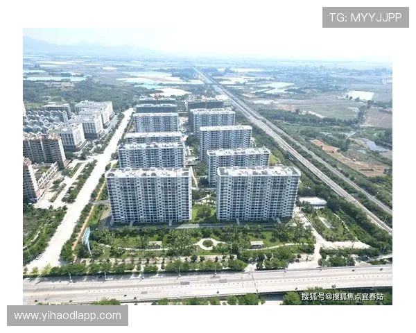 壹号平台会员登录入口多设备同步登录技巧分享